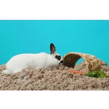 Sustrato Carefresh Natural 14Lts #L0399 ACW - Imagen 4