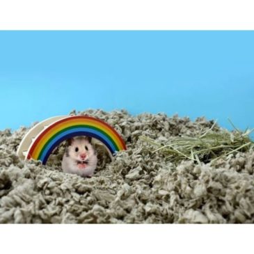 Sustrato Carefresh Natural 14Lts #L0399 ACW - Imagen 3