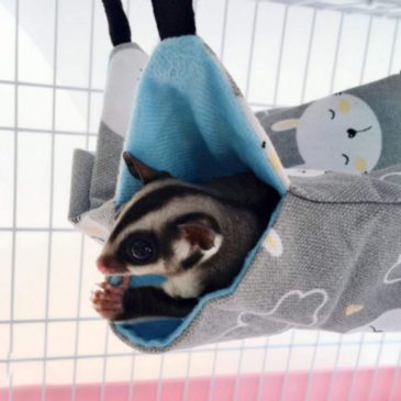 Hamaca Doble Para Mascotas Pequeñas #1503 - Imagen 2