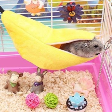 Cama Banana Para Roedores Pequeños #Lvl479 - Imagen 3