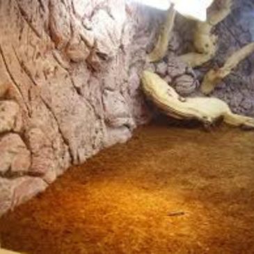 Sustrato De Fibra De Coco - Imagen 3