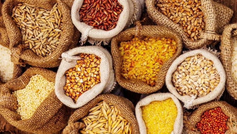 Mazzuri alimento para animales exóticos