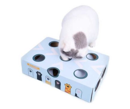 Juego Interactivo Con Pelotas #69711