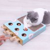 Rascador Interactivo Para Gatos