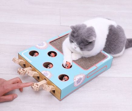 Rascador Interactivo Para Gatos