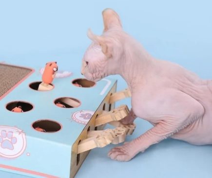 Rascador Interactivo Para Gatos - Imagen 3