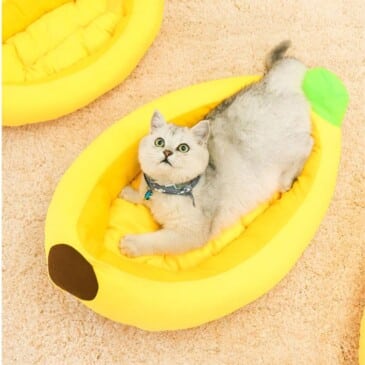 Cama De Banana Para Mascotas FYN #17616-S - Imagen 4