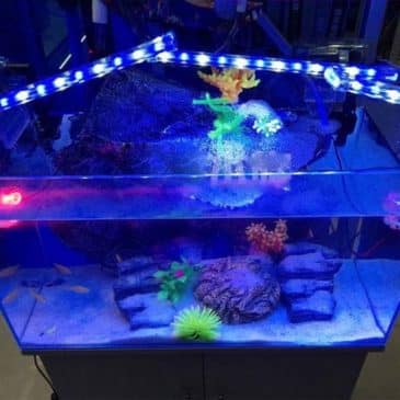 Lampara 9W Led Sobo Tipo Clip #Scl9W - Imagen 4