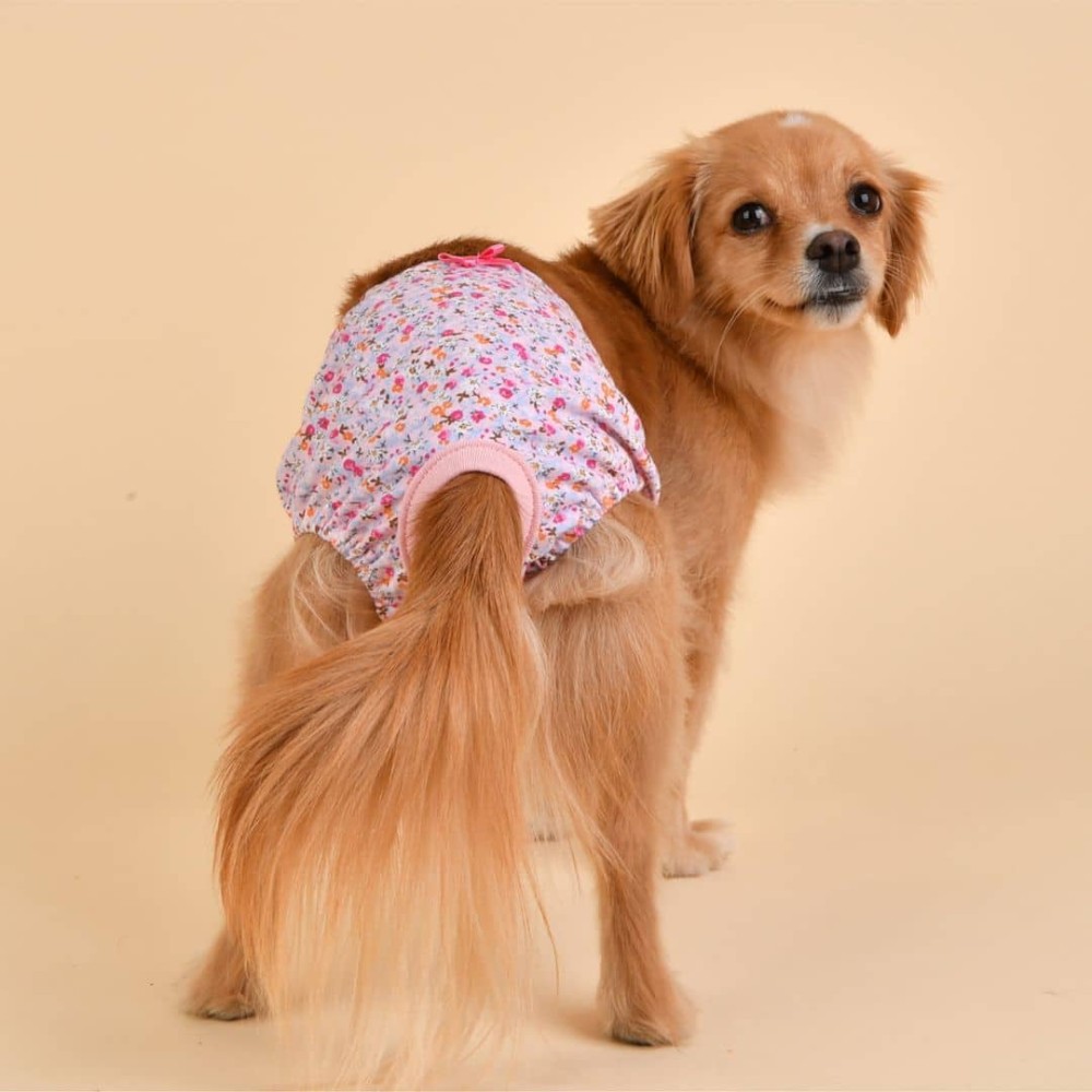 Calzón De Celo Para Perrita Talla L #24039