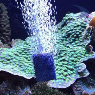 Piedra Difusora De Oxígeno M #G1208057 - Imagen 2