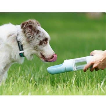 Botella De Agua Portátil 2 En 1 250Ml MBN #Szp0009B - Imagen 3