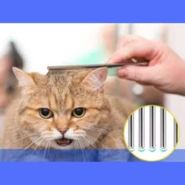 Peine Con Cerdas De Acero #Dndh3 - Imagen 3