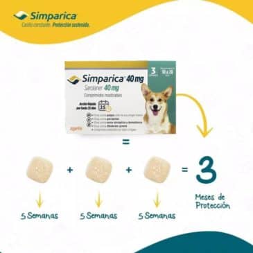 Simparica 10 A 20Kg 3 Comprimidos #11022554 - Imagen 3