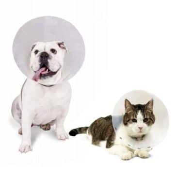 Collar Isabelino Perro - Gato N°15