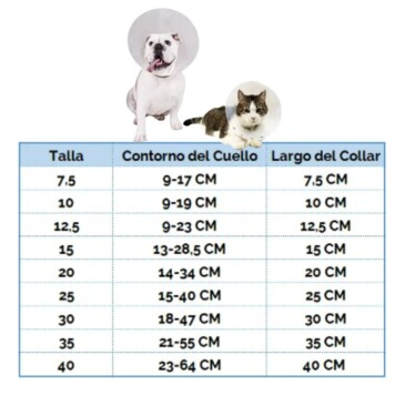 Collar Isabelino Perro N°20 - Imagen 3