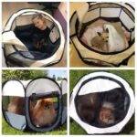 Corral Plegable para Mascotas M #35310 FYN - Imagen 3