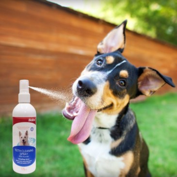 Dental Higiene Spray Bioline - Imagen 2