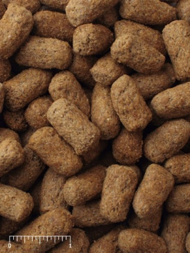 Mazuri Diet Tortugas De Tierra 340Gr  ACW - Imagen 2