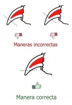 Tijera para uñas Para Mascotas Talla L #j-07 - Imagen 2