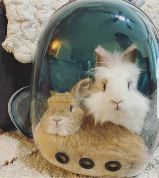 Mochila Transportadora Astronauta Transparente #27028 MBN - Imagen 2