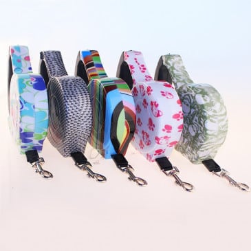 Correa Retráctil De 5 Metros FYN #28112 - Imagen 4