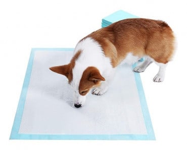 Sabanillas 45x33cm 50un Bioline - Imagen 5