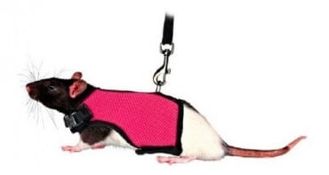 Arnés Talla M #S200 MBN - Imagen 3