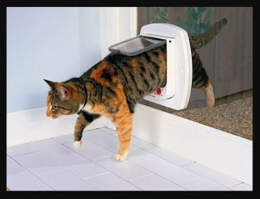 Puerta Para Mascotas Pequeña 20x19x5 - Imagen 3