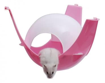 Casas Futuristas Para Hamsters Rj-309 - Imagen 3