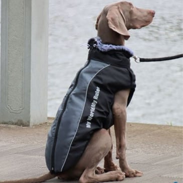 Parka Para Perro Grande #683-6xl M BN - Imagen 6