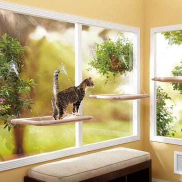 Cuna Cama De Ventana Para Gatos Con Ventosas MBN #Ls-1 - Imagen 2