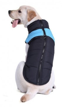 Ropa Parka Para Paseo S #fb-678-s - Imagen 2
