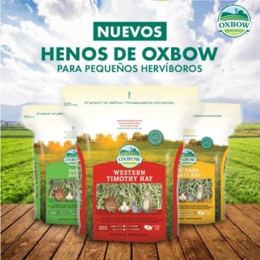 Heno Oxbow HIERBA DE HUERTO 1,13K #402963 - Imagen 5