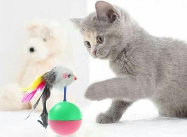 Juguete Porfiado Raton Con Plumas #Lvl233 # - Imagen 3