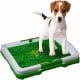 Potty Patch Baño Entrenamiento S #Htgc016 MBN