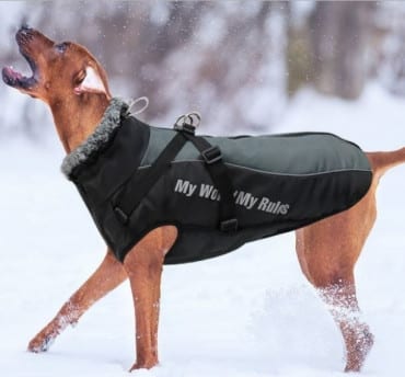 Parka Para Perro Grande #683-6xl M BN - Imagen 5