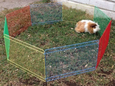 Corral De 8 Paneles Para Pequeñas Mascotas MBN #066 - Imagen 3