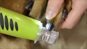 Lima De Uñas Furminator #104005 - Imagen 4