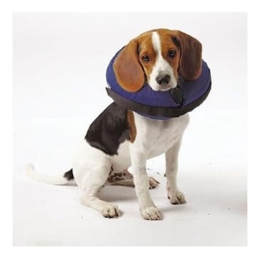 Collar Isabelino Inflable Perros Y Gatos Talla M