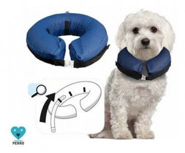 Collar Isabelino Inflable Perros Y Gatos Talla M - Imagen 2