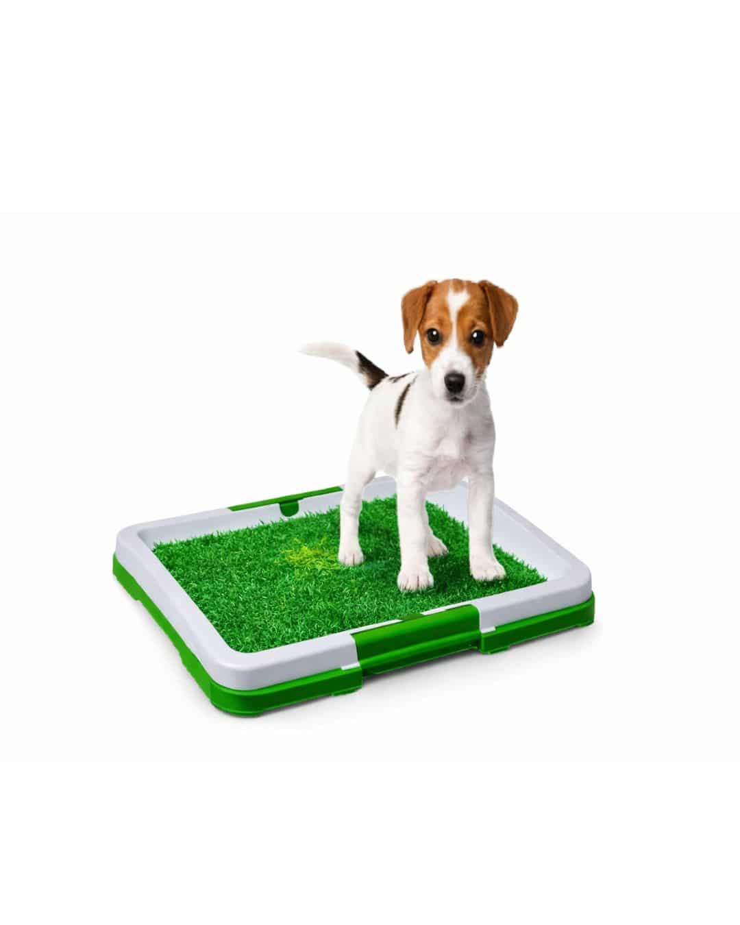 baño Potty Patch Baño Entrenamiento S #Htgc016 MBN - Imagen 1