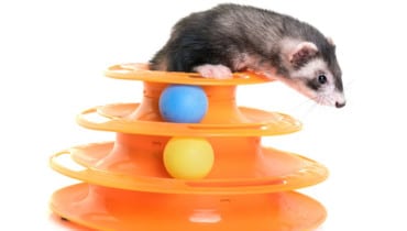 Torre Espiral Con Pelotas MBN - Imagen 5