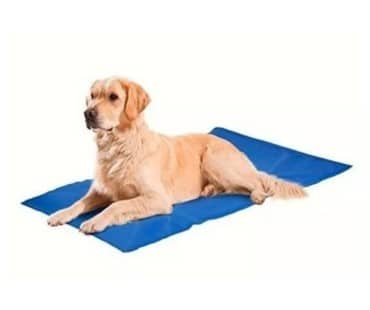 Manta Refrescante Xl Pet Cool Mat FYN - Imagen 3