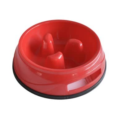 Plato Alimentación Lenta Tamaño M #D123