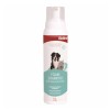 Shampoo Espuma Seco Bioline 220 Ml MBN #2021