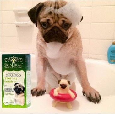 Shampoo Skindrag Te Verde Y Calendula #11-5840-1 DPH - Imagen 2