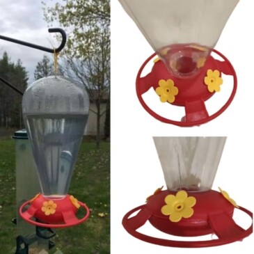 Bebedero Para Colibríes/picaflor #HD9014 MBN - Imagen 2