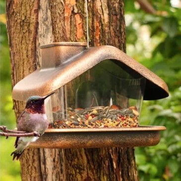 Alimentador Para Aves - Imagen 2