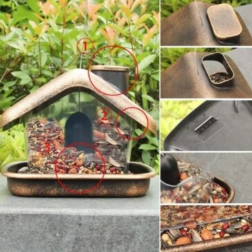 Alimentador Para Aves - Imagen 3