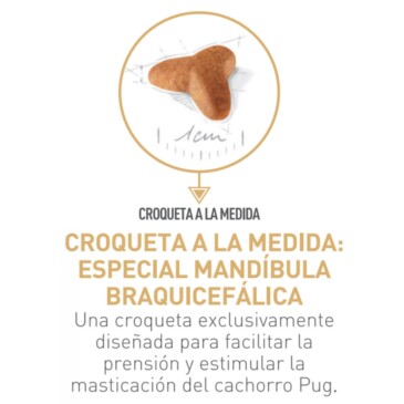 ROYAL CANIN Puppy Pug 2,5Kg #10500304 - Imagen 2